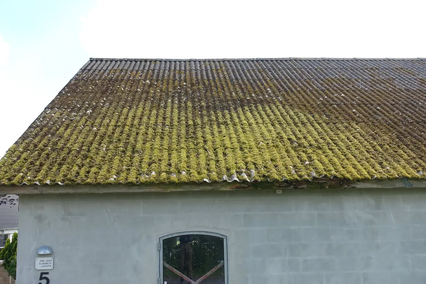 Grønne alger på gammelt tag