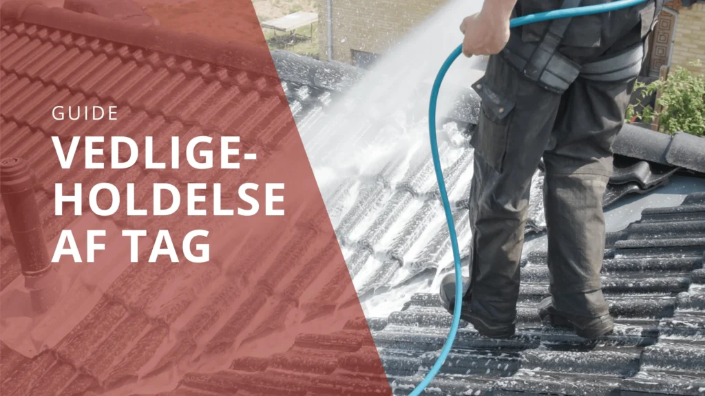 Vedligeholdelse af tag guide