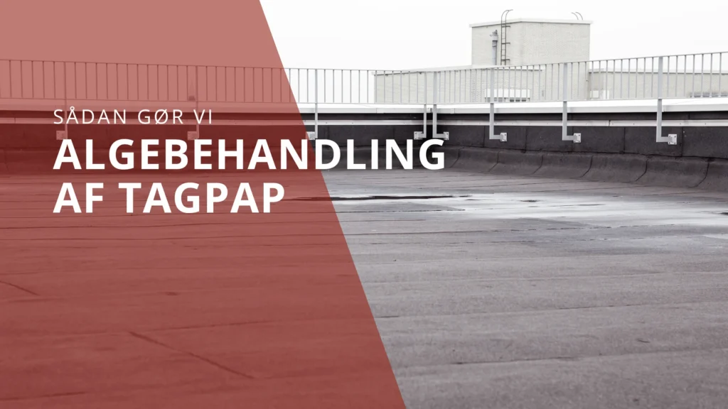 Algebehandling af tagpap