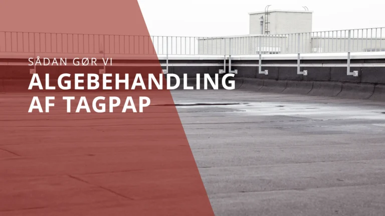 Algebehandling af tagpap