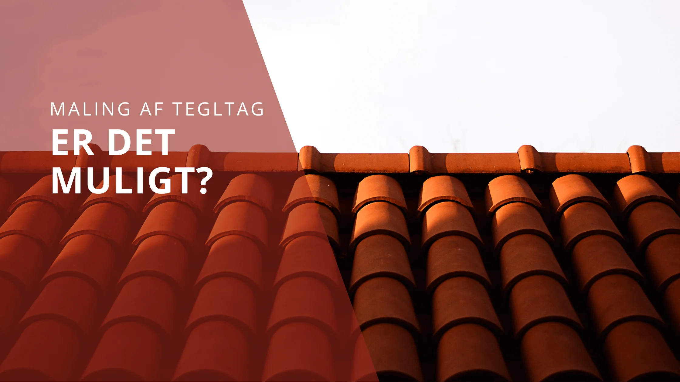 Maling af tegltag: Er det muligt? - Stecks Fliserens