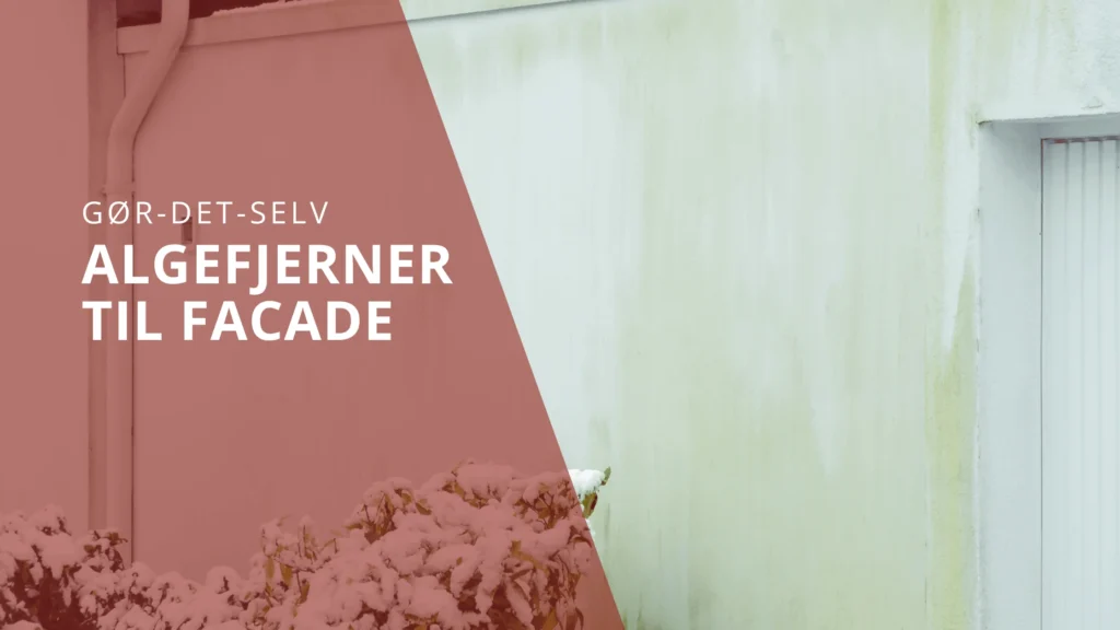 Algefjerner til facade guide