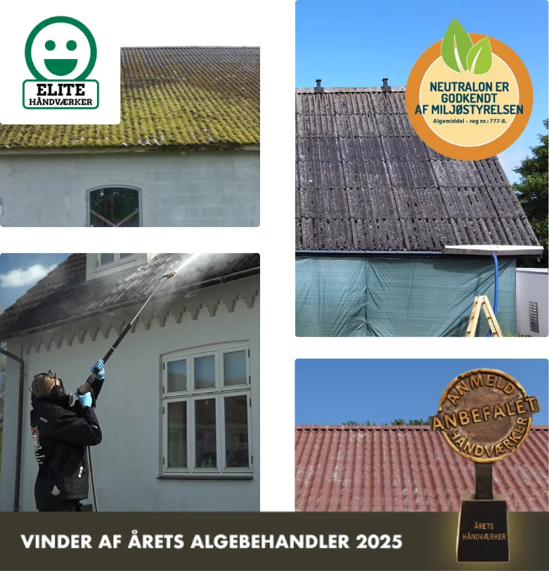 Algebehandling af asbesttag