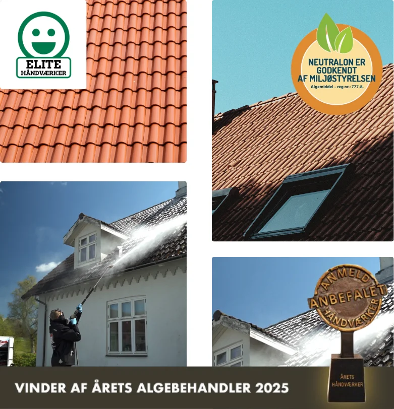Algebehandling af tegltag