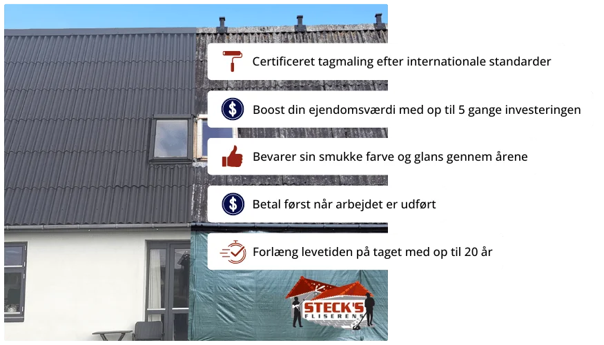 Alternativ til nedtagning og bortskaffelse af asbesttag