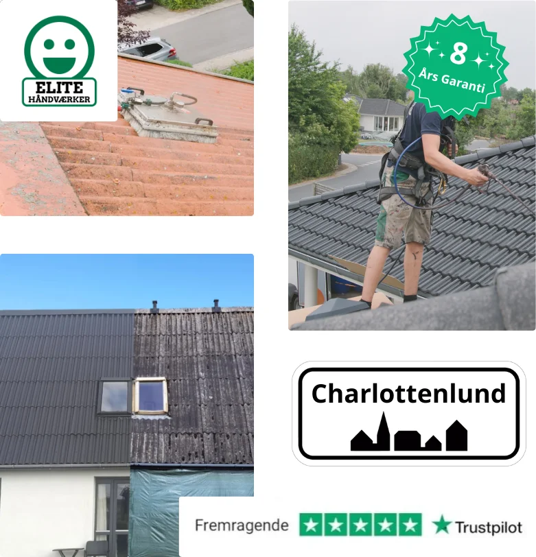 Tagrenovering i Charlottenlund