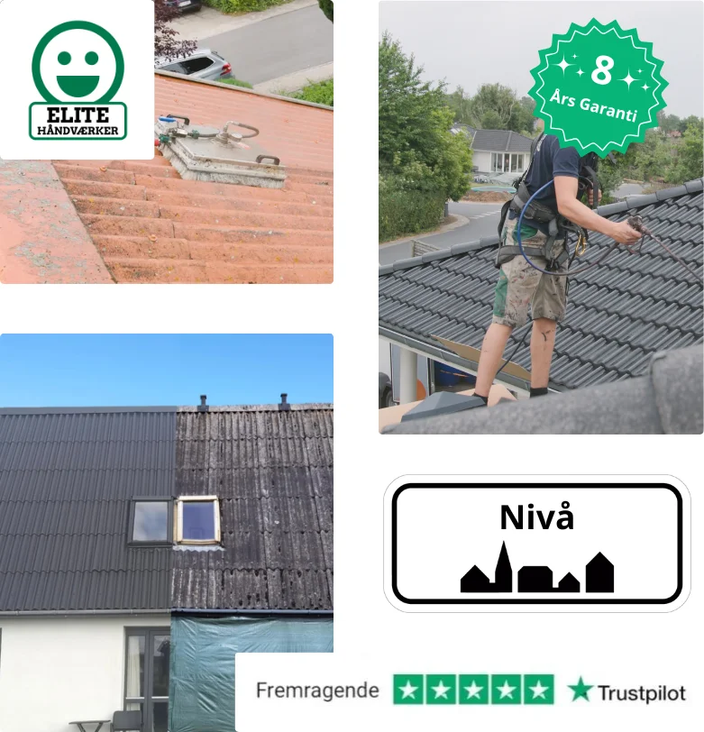 Tagrenovering i Nivå