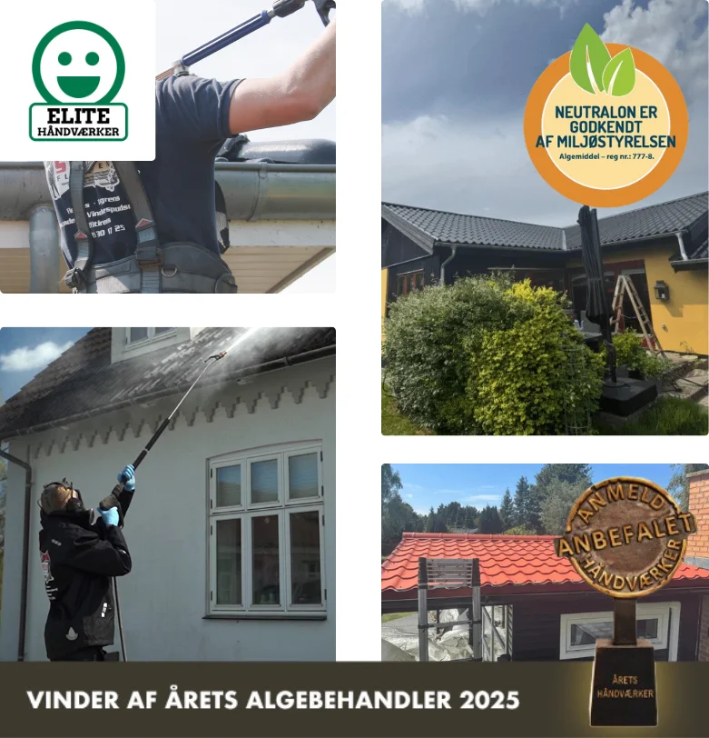 Algebehandling af ståltag