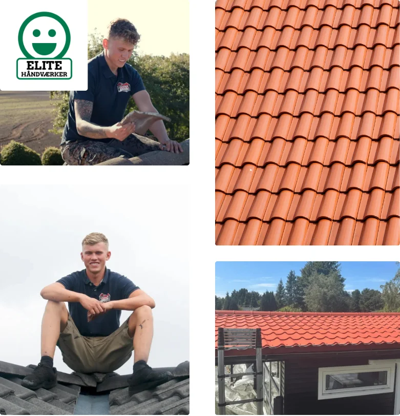 Udskiftning og montering af nyt tag