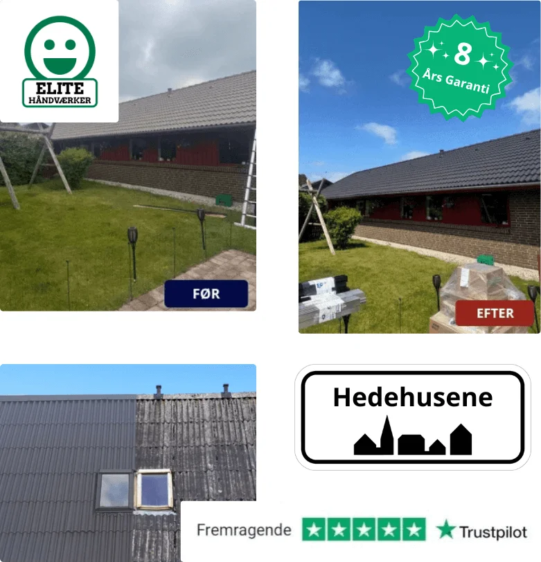 Rens og maling af tage i Hedehusene