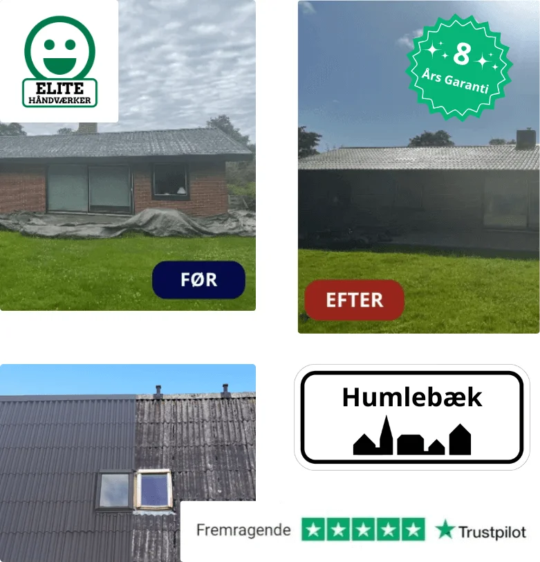 Rens og maling af tage i Humlebæk