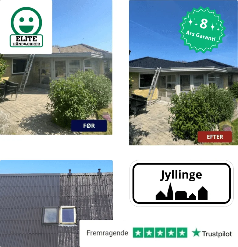 Rens og maling af tage i Jyllinge