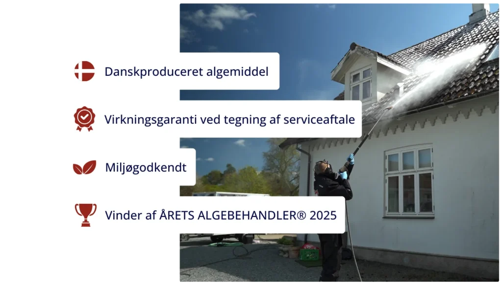 Fordele ved Stecks algebehandling