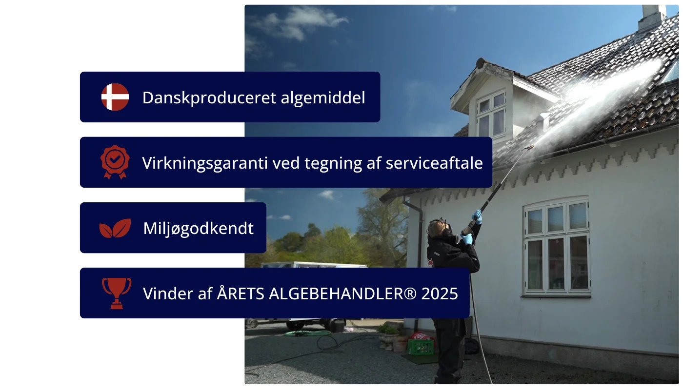 Fordele ved Stecks algebehandling