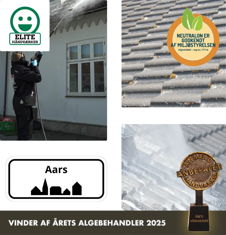 Algebehandling af tag i Aars