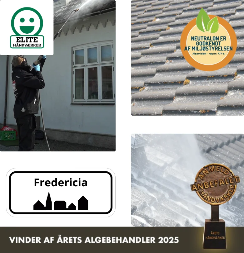 Algebehandling af tag i Fredericia