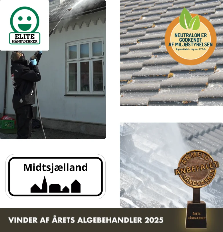 Algebehandling af tag på Midtsjælland