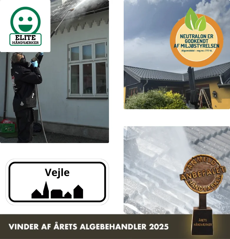 Algebehandling af tag i Vejle