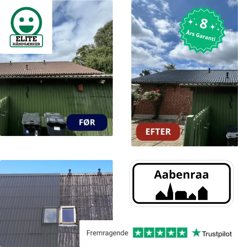 Rensning og maling af tag på hus i Aabenraa
