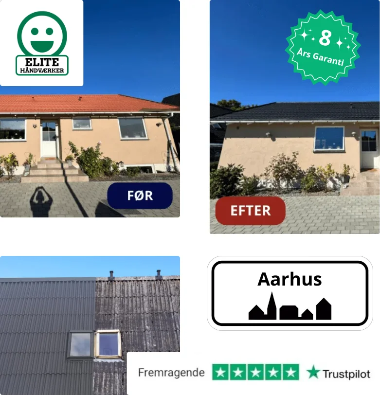 Rensning og maling af tag på parcelhus i Aarhus