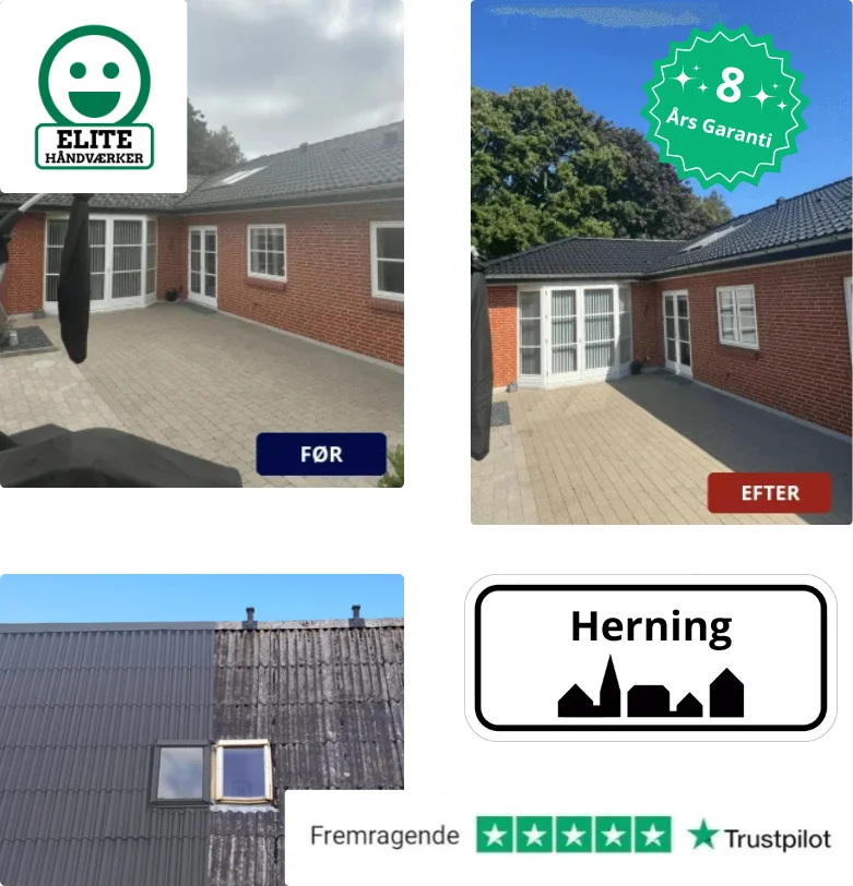 Rensning og maling af tag på parcelhus i Herning