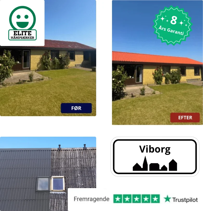 Rensning og maling af tag på parcelhus i Viborg