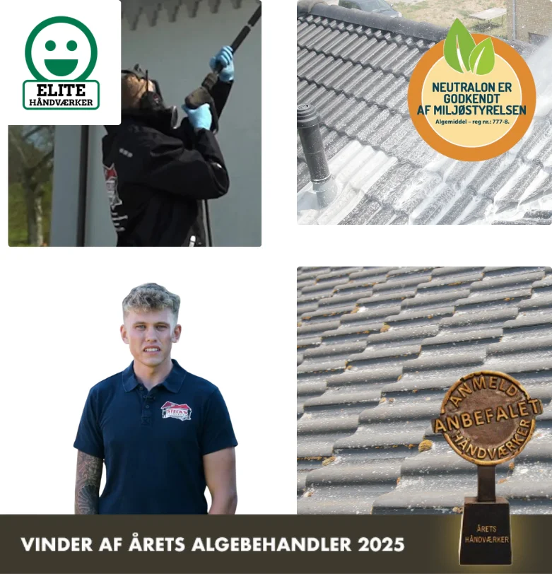 Algefjerner til betontagsten