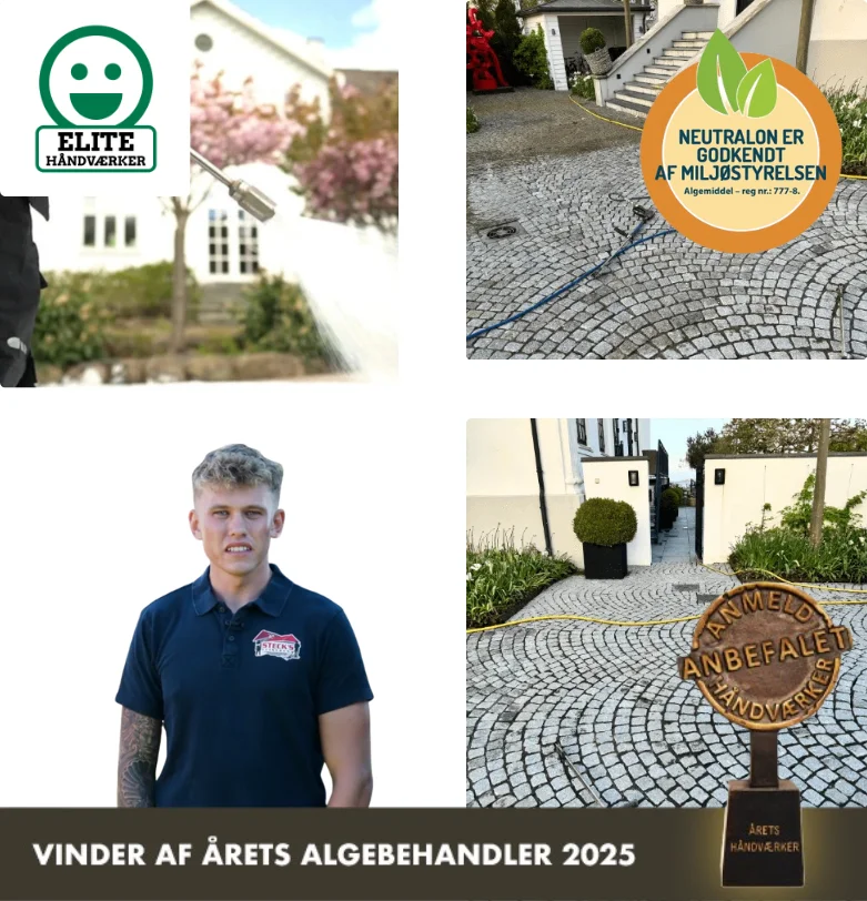 Algefjerner til brosten