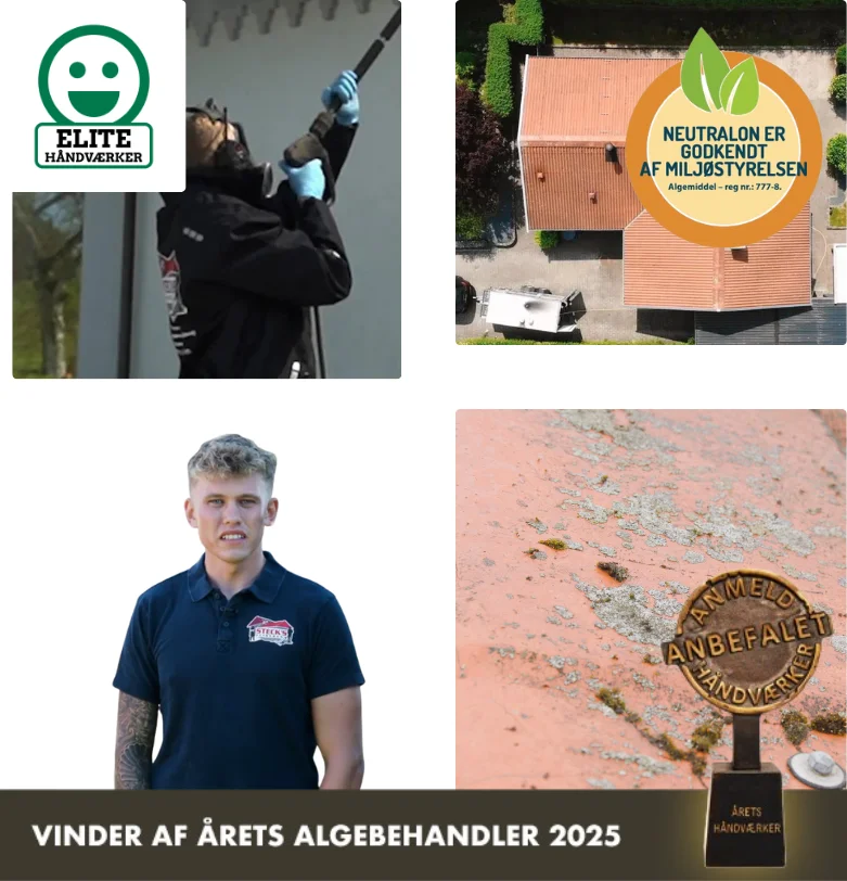 Algefjerner til eternittag