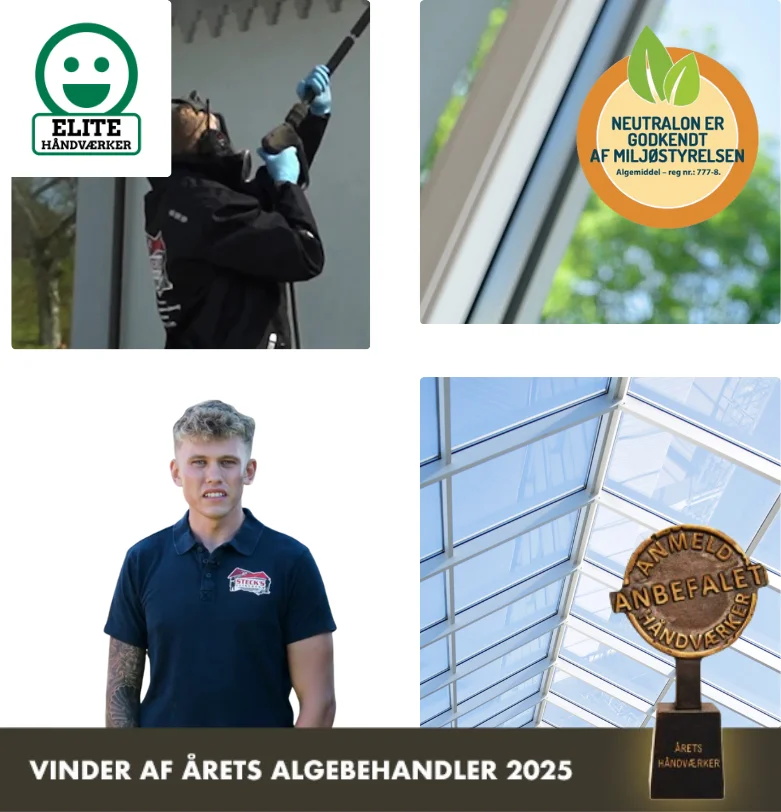 Algefjerner til glas