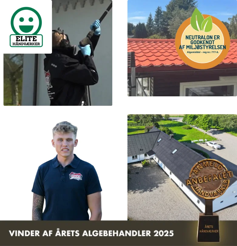 Algefjerner til ståltag