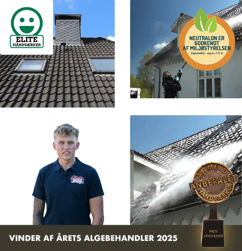 Algefjerner til tegltag