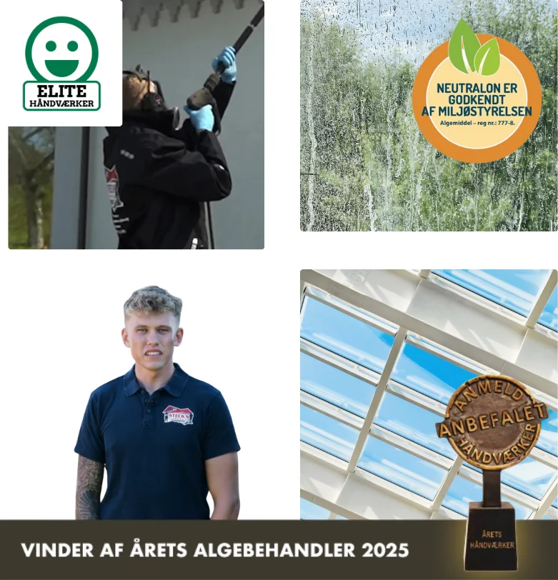 Algefjerner til vinduer