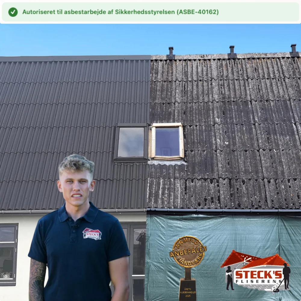 Nye regler for rensning og maling af asbesttag - Sidste chance