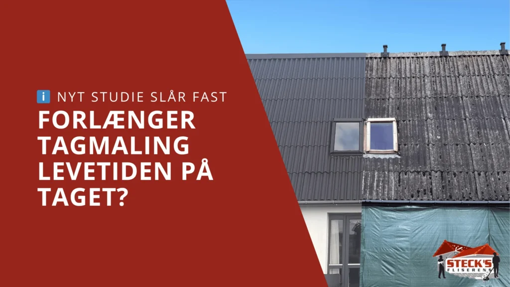 Studie slår fast at tagmaling forlænger levetiden på taget med 30 år