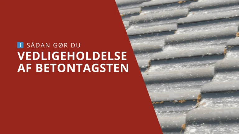 Vedligeholdelse af betontagsten